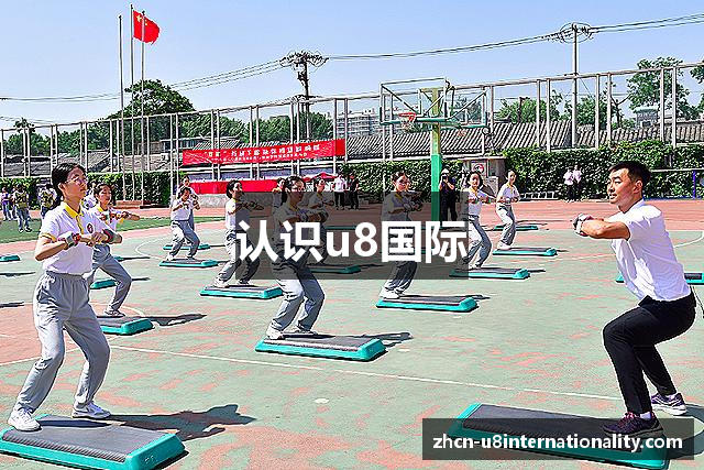 认识u8国际
